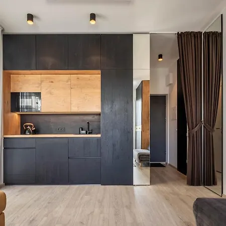 公寓 Cozy 帕兰加